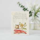  botanische illustratie briefkaart (Staand voorkant)