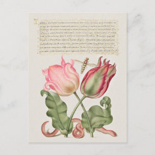  botanische illustratie briefkaart