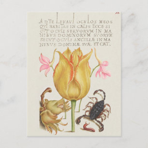 botanische illustratie briefkaart