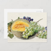  botanische illustratie briefkaart (Voorkant / Achterkant)