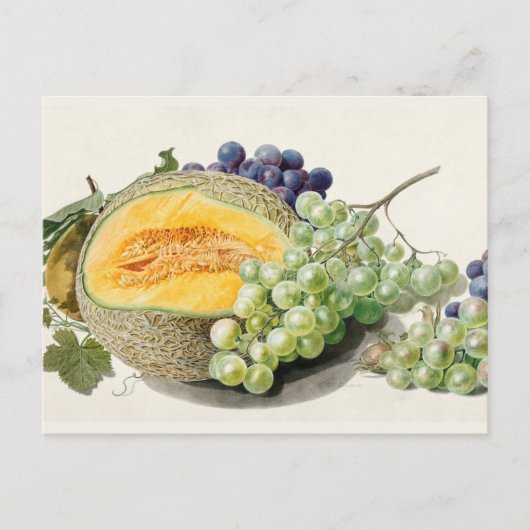  botanische illustratie briefkaart (Voorkant)