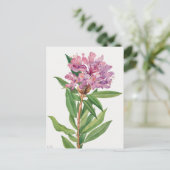  botanische illustratie briefkaart (Staand voorkant)