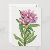  botanische illustratie briefkaart (Voorkant / Achterkant)