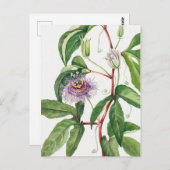  botanische illustratie briefkaart (Voorkant / Achterkant)