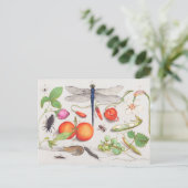  botanische illustratie briefkaart (Staand voorkant)