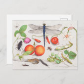  botanische illustratie briefkaart (Voorkant / Achterkant)