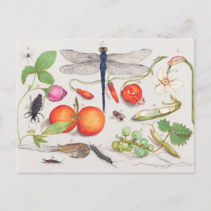  botanische illustratie briefkaart