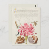  botanische illustratie briefkaart (Voorkant / Achterkant)