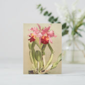  botanische illustratie briefkaart (Staand voorkant)