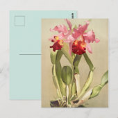  botanische illustratie briefkaart (Voorkant / Achterkant)
