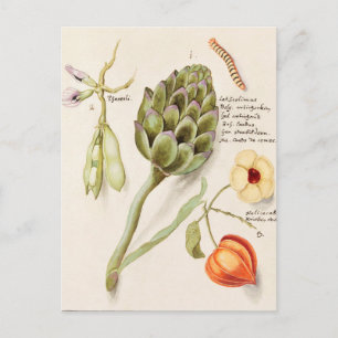  botanische illustratie briefkaart
