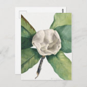  botanische illustratie briefkaart (Voorkant / Achterkant)