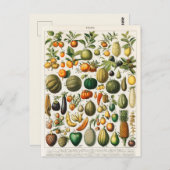  botanische illustratie briefkaart (Voorkant / Achterkant)