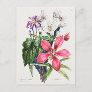  botanische illustratie briefkaart