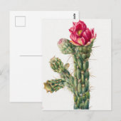  botanische illustratie briefkaart (Voorkant / Achterkant)
