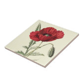 Botanische illustratie "Common Poppy" Tegeltje (Zijkant)