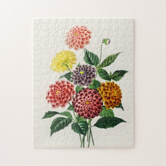  botanische illustratie Dahlias 250 stuks Legpuzzel (Verticaal)