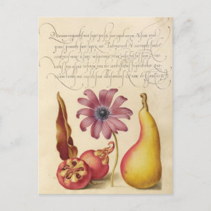  botanische illustratie feestdagenkaart