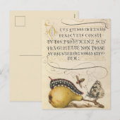  botanische illustratie feestdagenkaart (Voorkant / Achterkant)