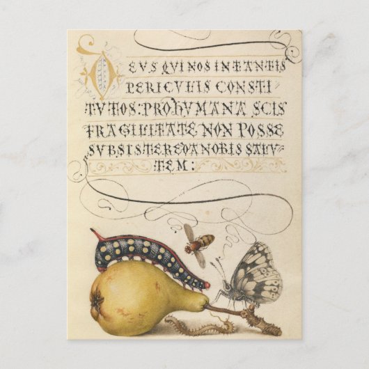  botanische illustratie feestdagenkaart (Voorkant)