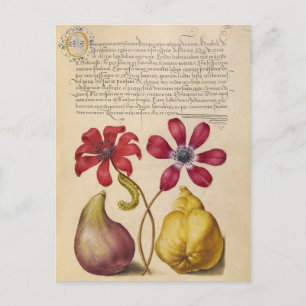  botanische illustratie feestdagenkaart