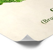  botanische illustratie, kool poster (Hoek)