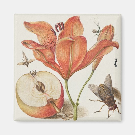  botanische illustratie magneet (Voorkant)