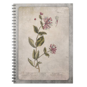 Botanische illustratie notebook - Honeysuckle Notitieboek