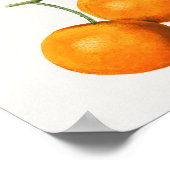 botanische illustratie poster (Hoek)