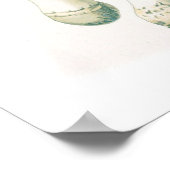 botanische illustratie poster (Hoek)