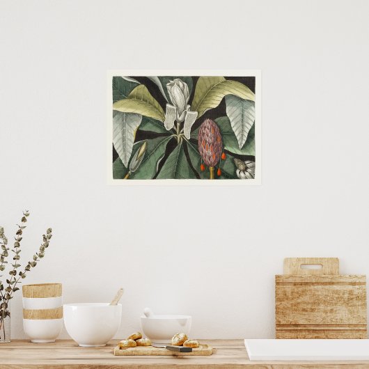 botanische illustratie poster (Keuken)