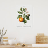  botanische illustratie poster (Keuken)