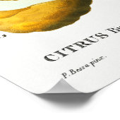  botanische illustratie poster (Hoek)