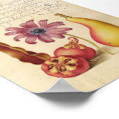  botanische illustratie poster (Hoek)