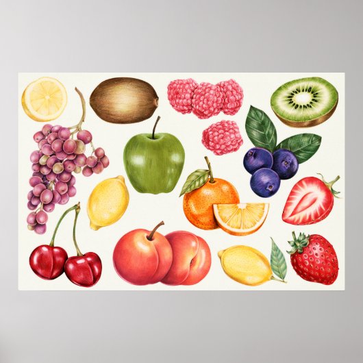 Botanische illustratie poster (Voorkant)