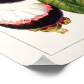 botanische illustratie poster (Hoek)