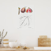 botanische illustratie poster (Keuken)