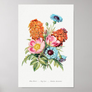  botanische illustratie poster