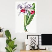  botanische illustratie poster (Thuiskantoor)