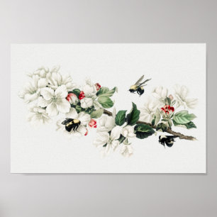 Botanische illustratie poster