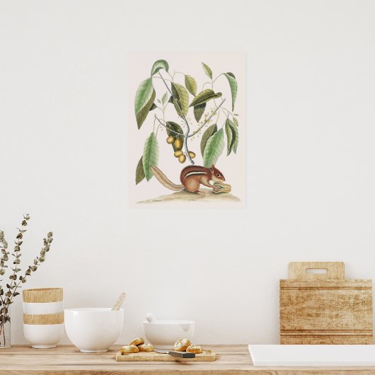 botanische illustratie poster (Keuken)