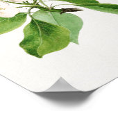  botanische illustratie poster (Hoek)