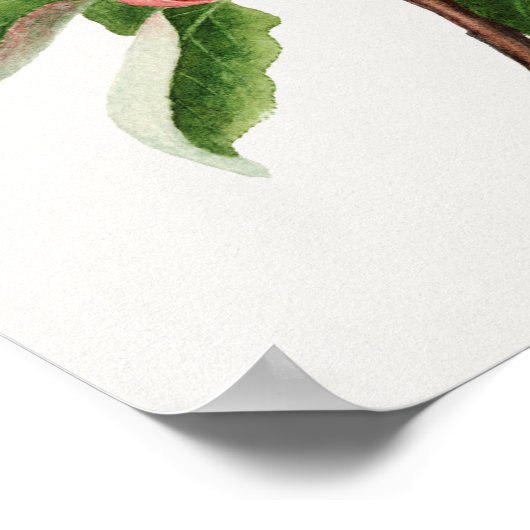  botanische illustratie poster (Hoek)