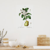  botanische illustratie poster (Keuken)