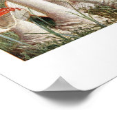 botanische illustratie poster (Hoek)