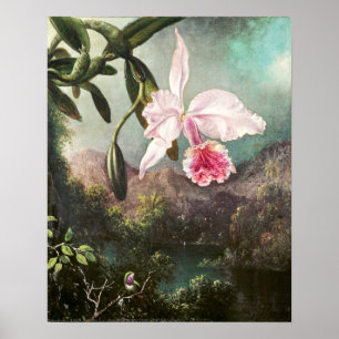  botanische illustratie poster