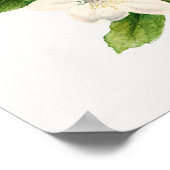  botanische illustratie poster (Hoek)