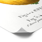  botanische illustratie poster (Hoek)