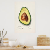  botanische illustratie poster (Keuken)