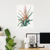 botanische illustratie poster (Thuiskantoor)